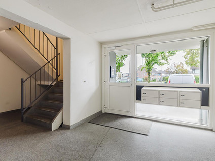 Pisanostraat 392