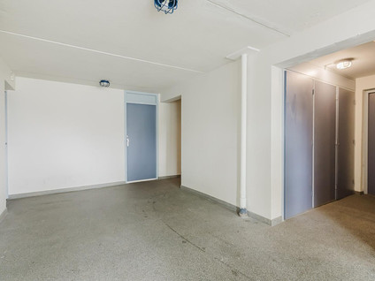 Pisanostraat 392