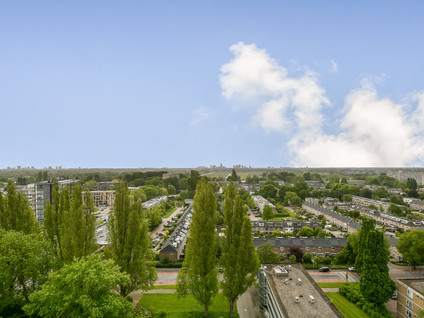 Westelijk Halfrond 425