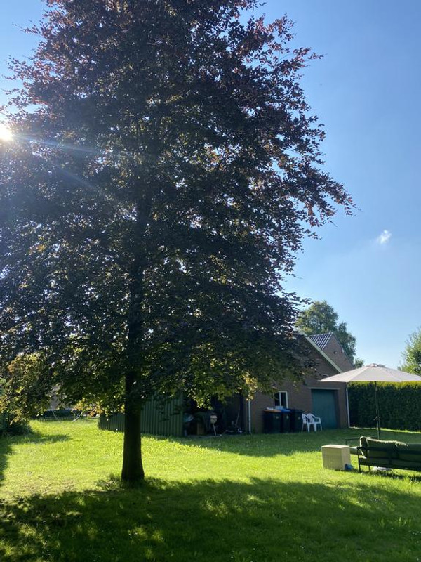 Woning te koop: Kampsestraat 3A, Boven-Leeuwen
