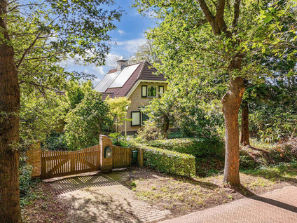 Sparjeburd 23