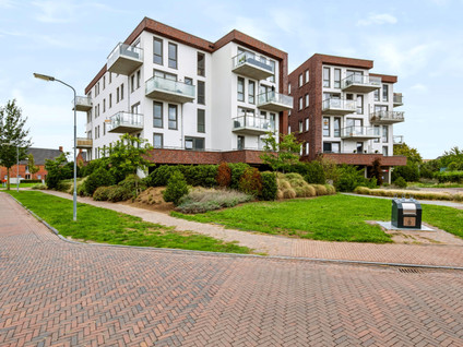 Tolsingel 11