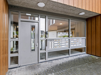 Tolsingel 11