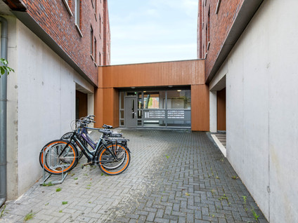 Tolsingel 11