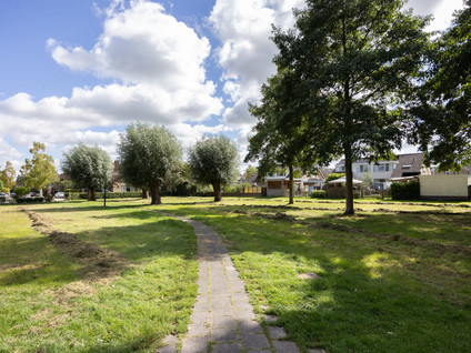 De Terpen 3