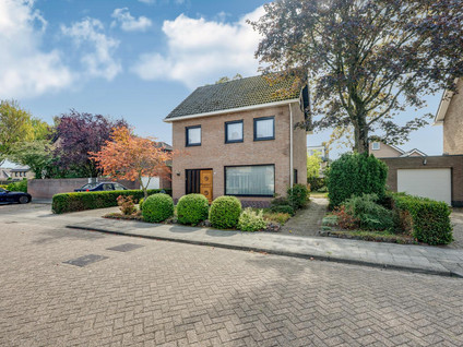 de Mandreef 6