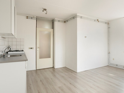 Drievogelstraat 231