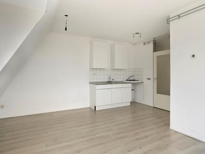 Drievogelstraat 231