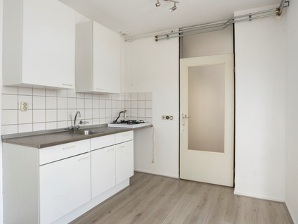 Drievogelstraat 231