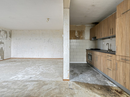 Van Laerstraat 102