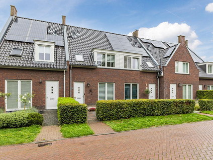 Goudrenet 25