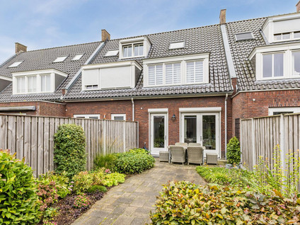 Goudrenet 25