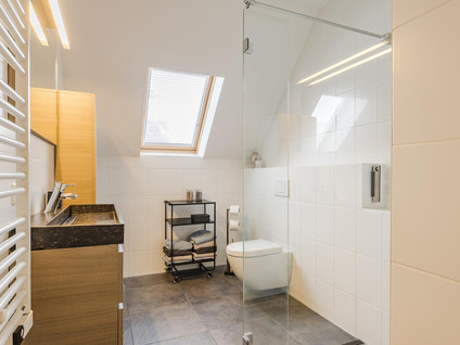 Goudrenet 25