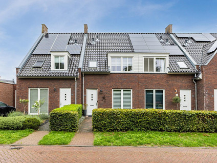 Goudrenet 25