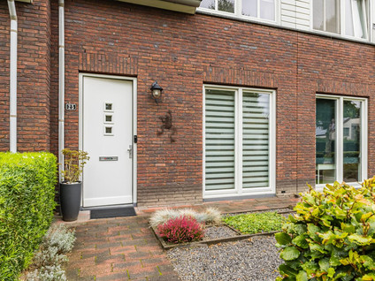 Goudrenet 25