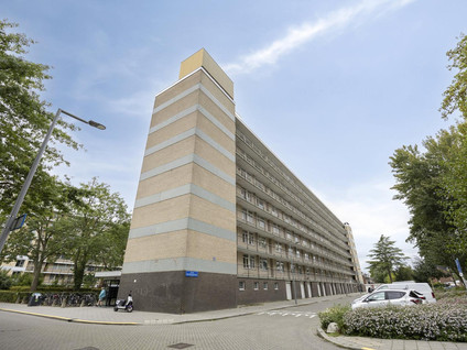 Everaertstraat 239