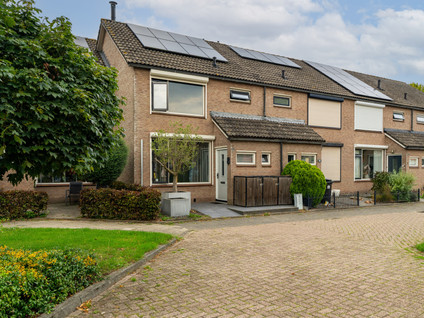 Jasmijn 8