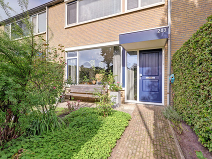 Kruizemuntstraat 203