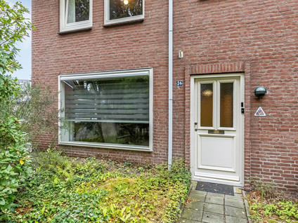 Wilgenroosstraat 24