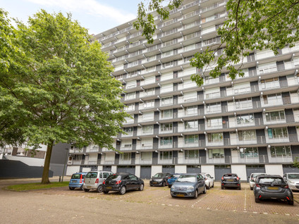 Henri Dunantstraat 301