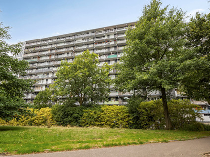 Henri Dunantstraat 301