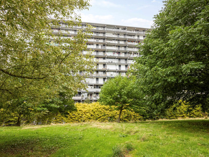 Henri Dunantstraat 301