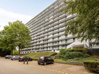 Henri Dunantstraat 301