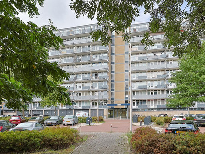Lupinesingel 304