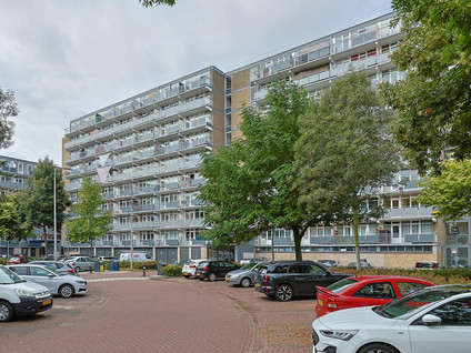 Lupinesingel 304