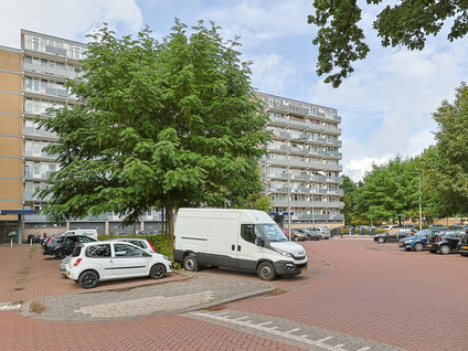 Lupinesingel 304