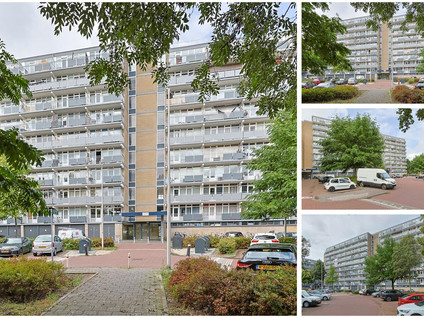 Lupinesingel 304