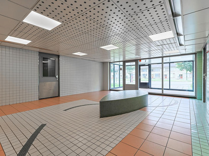 Lupinesingel 304