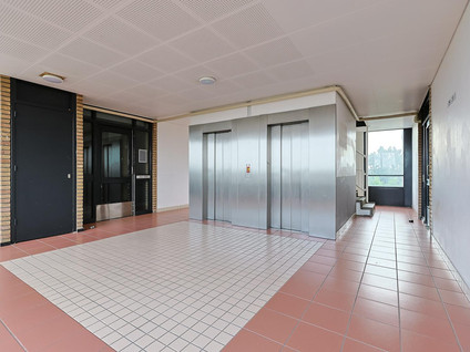 Lupinesingel 304