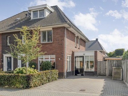 Paardebloem 21