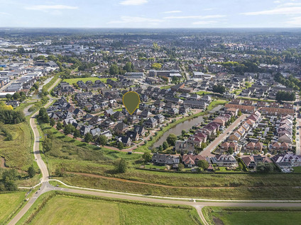 Paardebloem 21