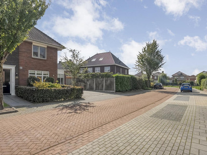Paardebloem 21