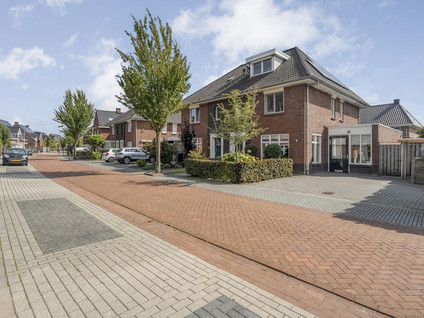 Paardebloem 21