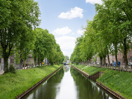 van Berckelstraat 5