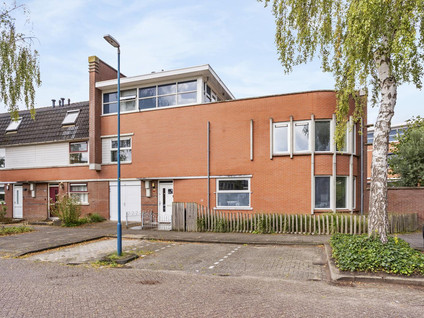Bodohout 9