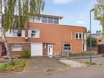 Bodohout 9
