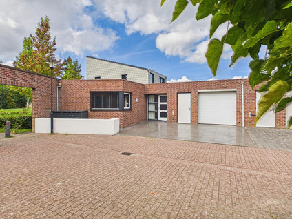 Steenarend 5