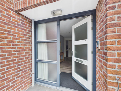 Steenarend 5