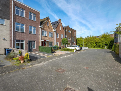Latijnzeil 50