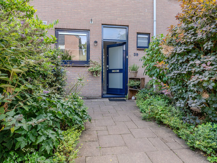 Esdoornstraat 39