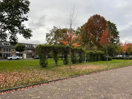Mechelenstraat 24