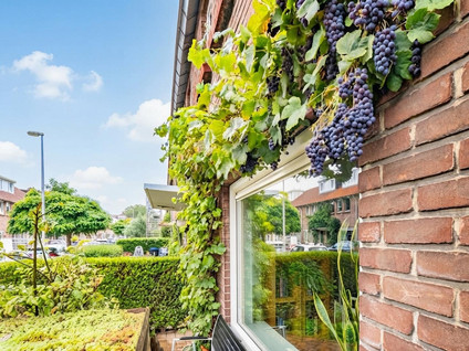 Barkasstraat 5