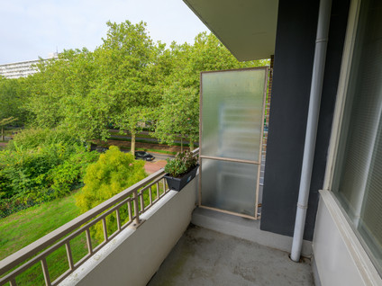 Zwedenburg 346