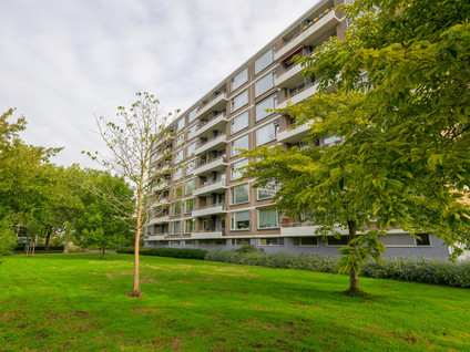 Zwedenburg 346