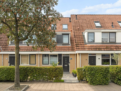 Riedermeet 43
