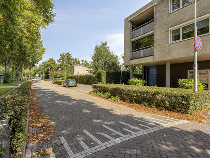 Kamerikstraat 36